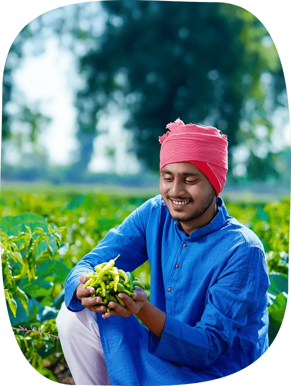 Agriculture Recruitment Agency Agriculture Recruitment Agency
