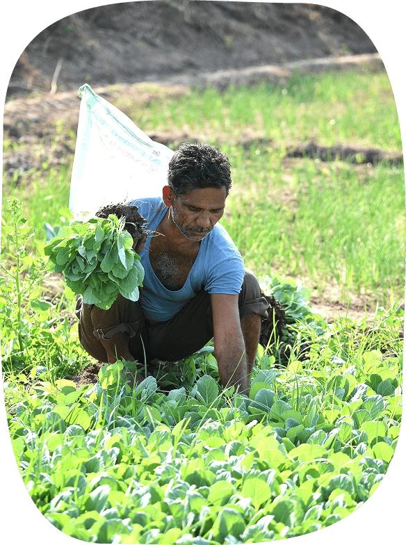 Agriculture Recruitment services Agriculture Recruitment services