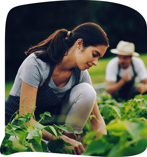 Groyouth Agricultural Recruitment Groyouth Agricultural Recruitment