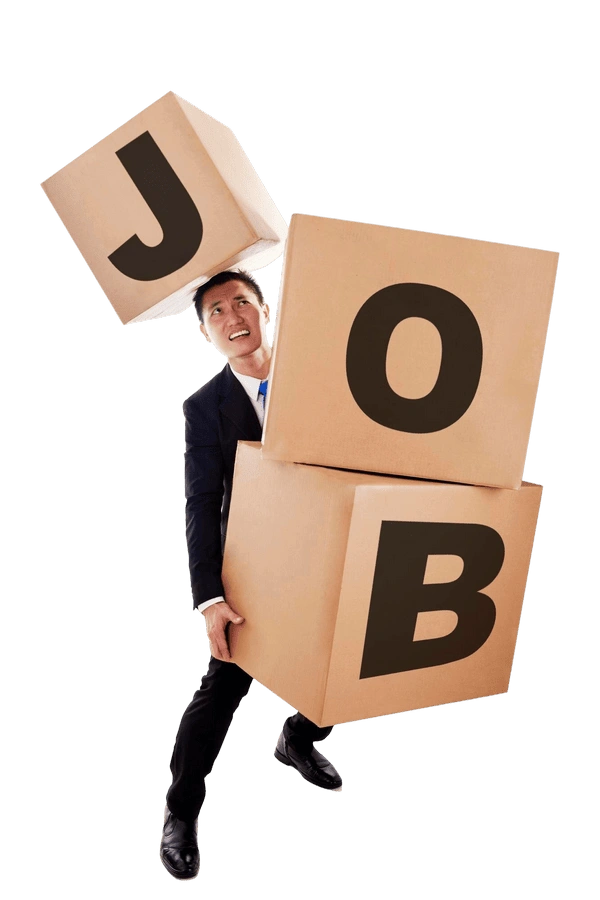 Navigate the Job Market Navigate the Job Market