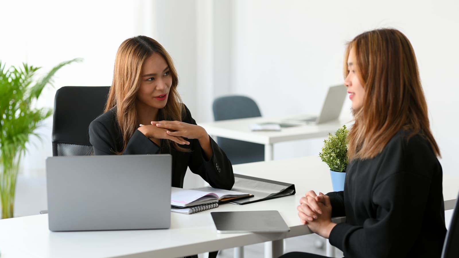 Explore Career Options Explore Career Options