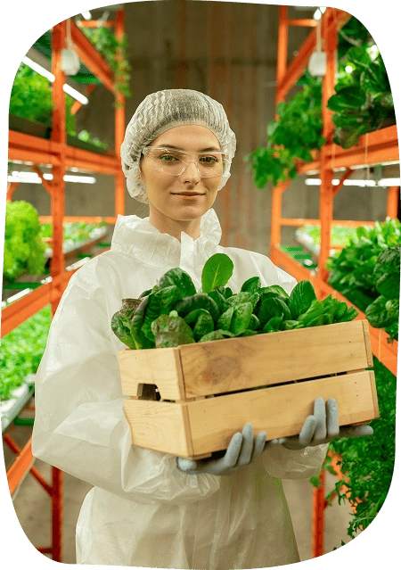 Food Automation Recruitment Freelance Talent For Businesses